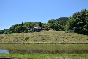 比之宮　田んぼ　草刈アート