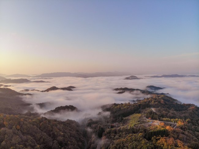 雲海