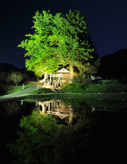 酒谷光八幡宮紅葉ライトアップ