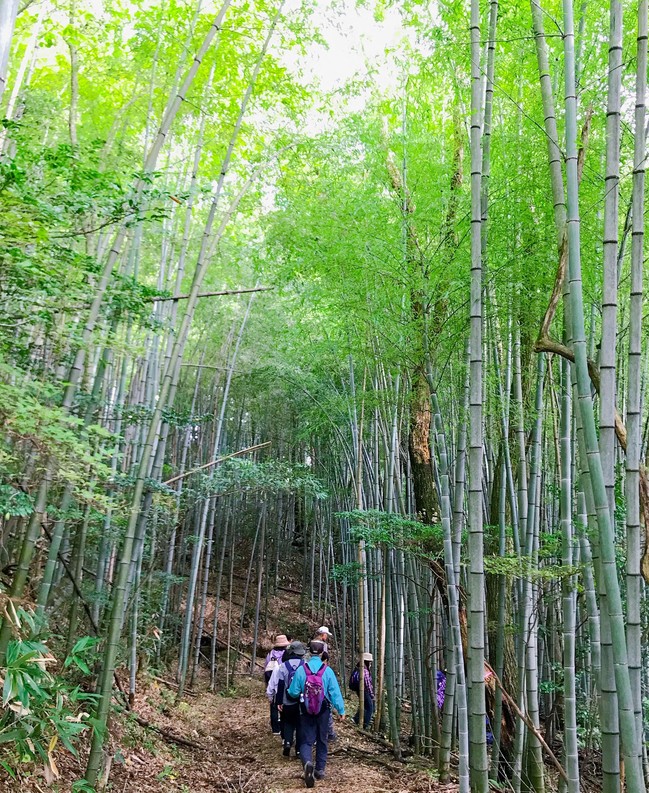 銀山街道