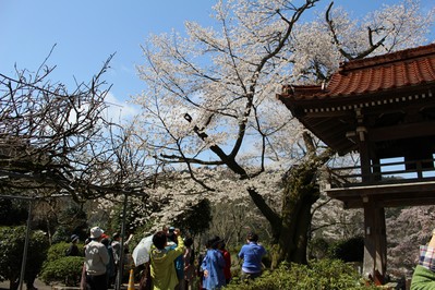 妙用寺