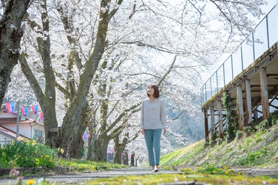 潮・桜のトンネル