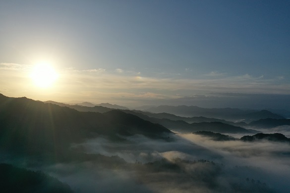 野間雲海