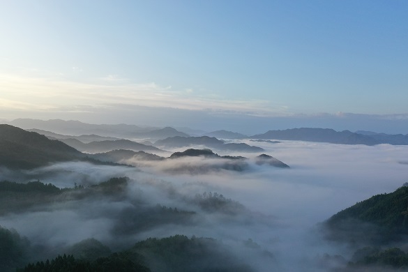 野間雲海３