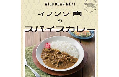 イノシシ肉のスパイスカレー