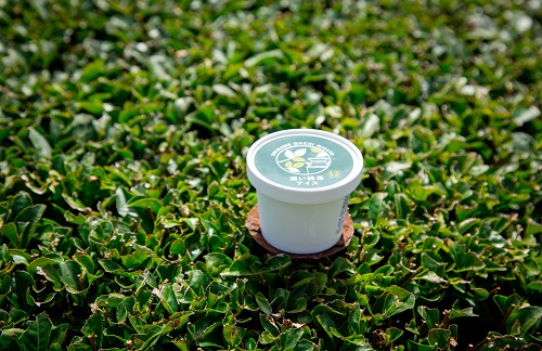 緑茶アイス