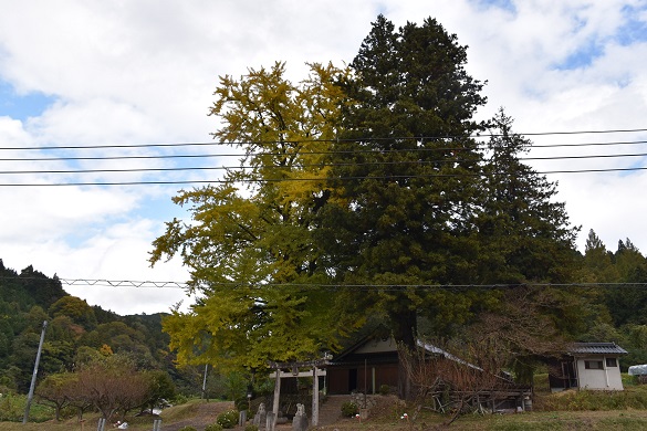 酒谷（光）八幡宮３