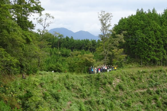 土橋