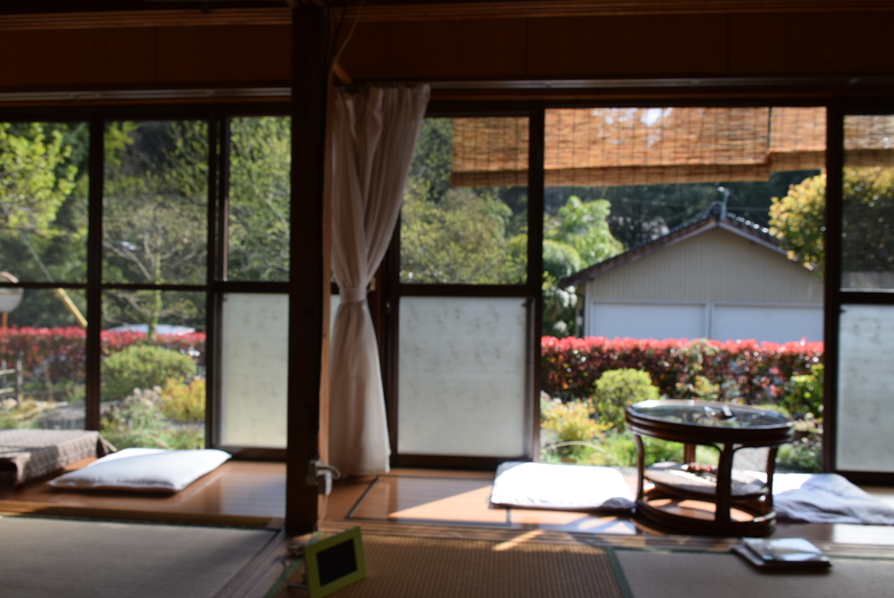 寄せ植え-5