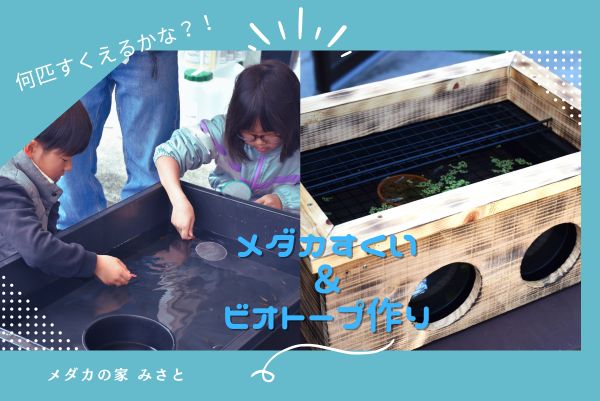 メダカの家