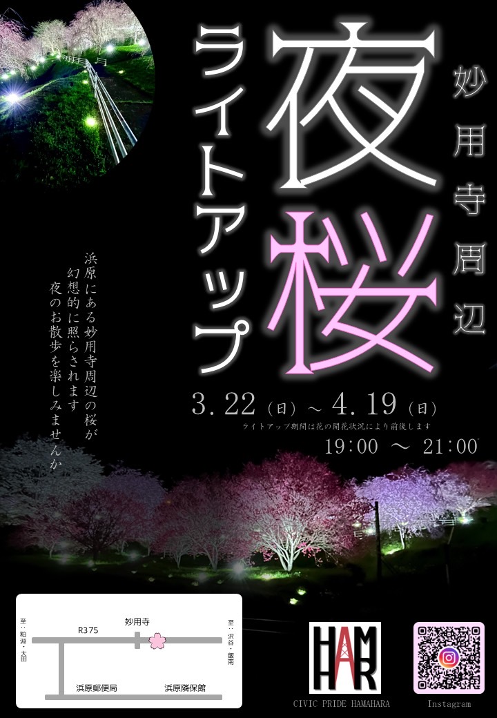 妙用寺参道ライトアップ