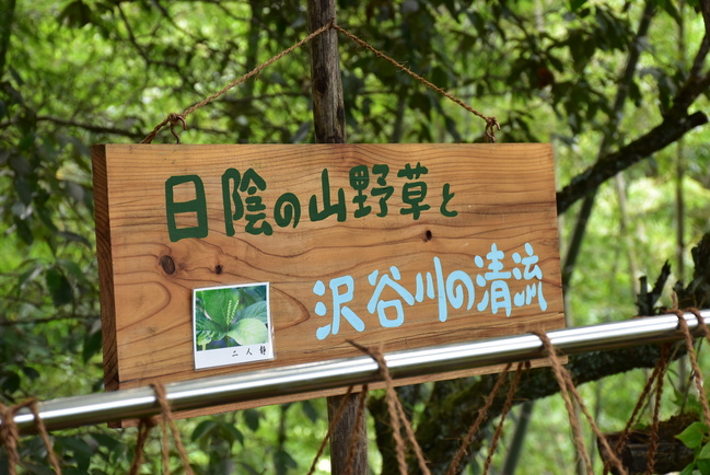 縁側サロン