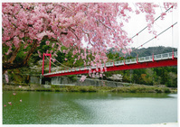 「春の信喜橋」