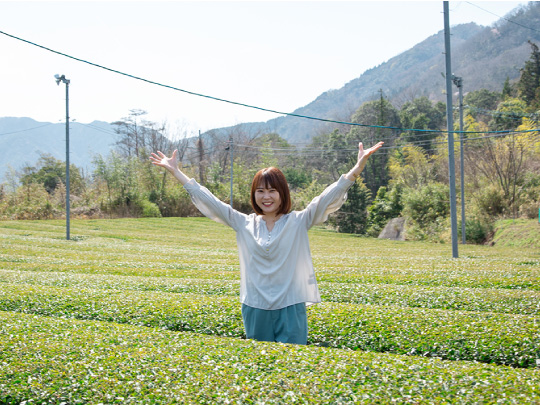 体を動かすアンチストレスな旅